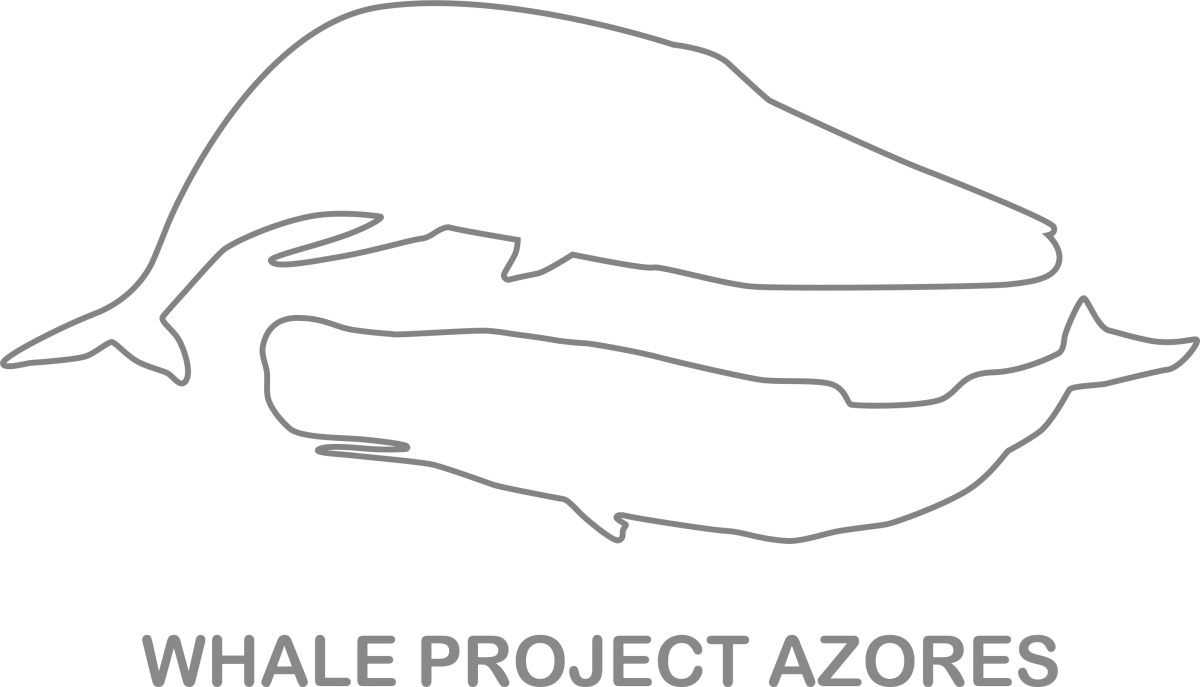 Whale Project Azores